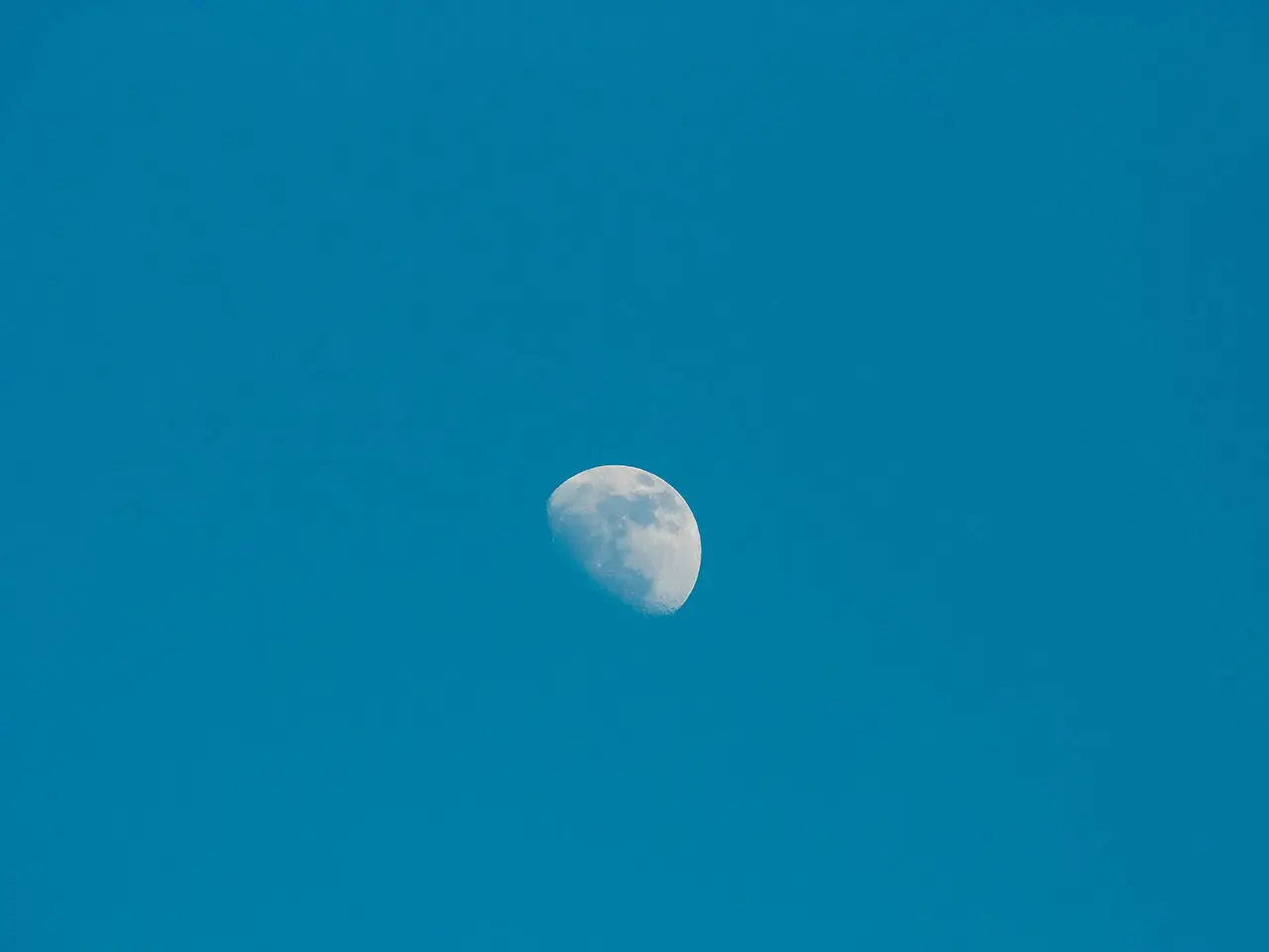 Luna de día